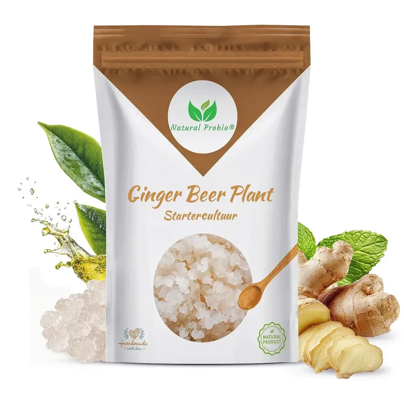 Sachet de ginger beer plant Natural Probio
