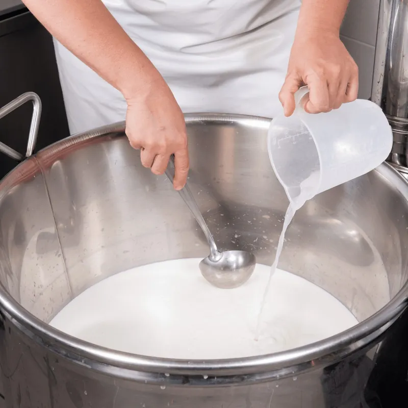 Lait dans la cuve, avant l'ajout de la présure