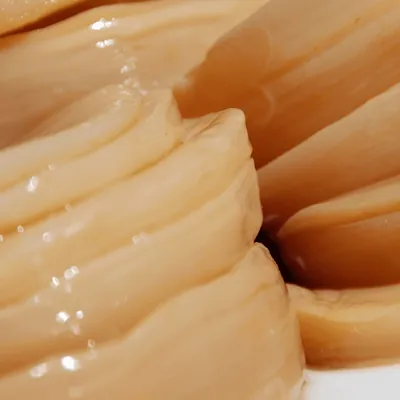 SCOBY de kombucha vu de près